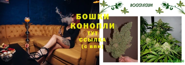 прущая мука Ельня