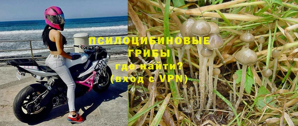 меф Заволжск