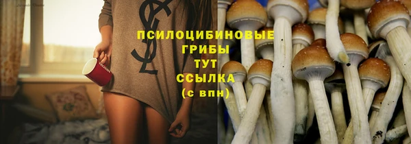 бошки Заволжье