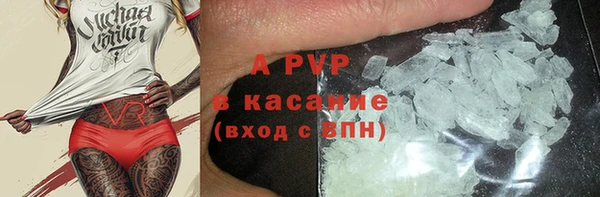 сатива Заводоуковск