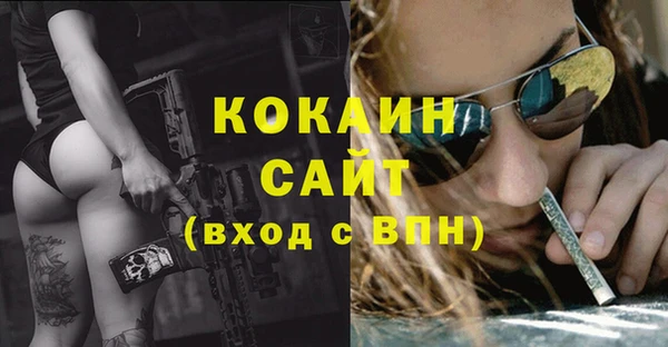прущая мука Ельня