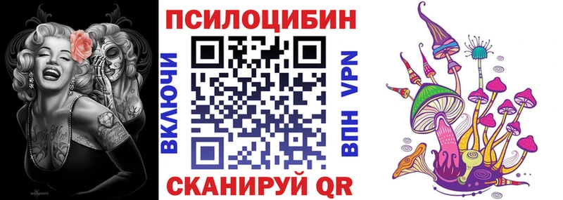 Купить закладки  Спасск  Галлюциногенные грибы Cubensis 